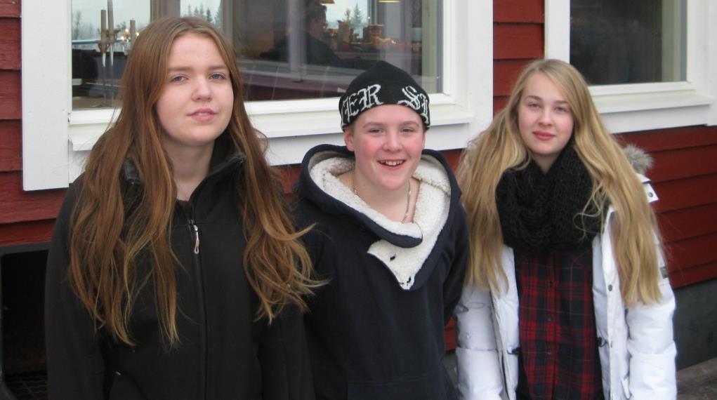 Hälsningar från Unga Ledare Sandra Ögren, Peter Eriksson och Anna Larsson. Foto Mona Puttick Hej! Vi ska på livsresaresa, vill du hänga med? Vi önskar ni kunde det.