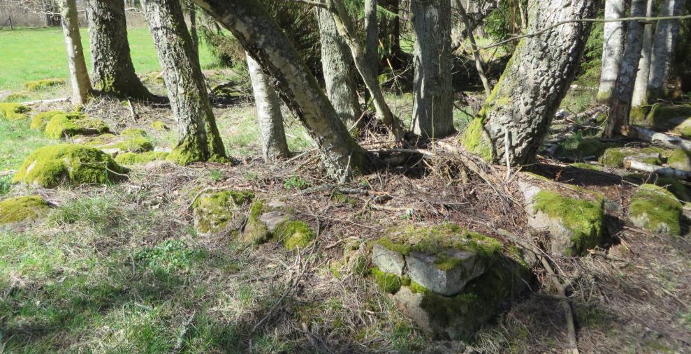 Nedströms bruksområdet finns också grunder