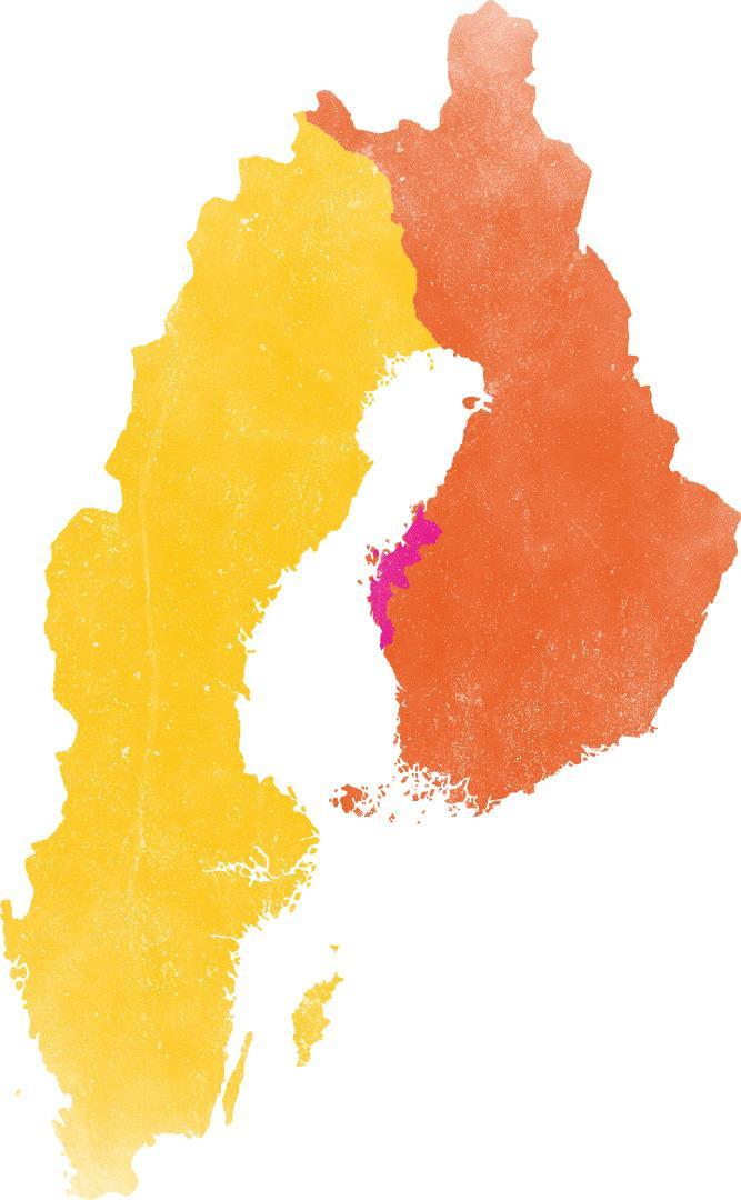 Port mellan Finland och Sverige Kvarken och Vasaregionen Vasaregionen 7 kommuner runt Vasa 114 000 invånare Fler svenskspråkiga än finskspråkiga!