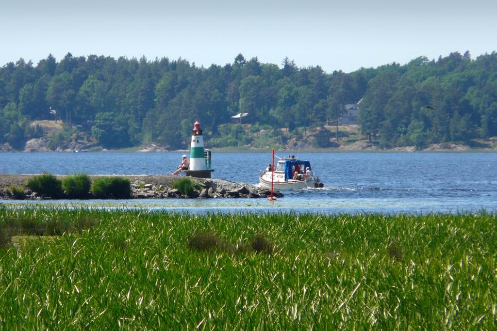 Undersökning av