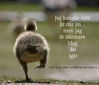 Hårdvarunära design Man behöver ta *SMÅ* utvecklingssteg, justera kompasskursen ofta. Varför?