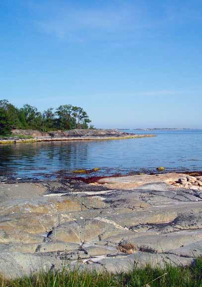 PROFILEN Foto: Wiki commons Lars-Erik Edgarsson Styrelseordförande för Bor: Hammarby Sjöstad, Stockholm Familj: Gift sen många år och har tre vuxna barn, som alla är utflugna.