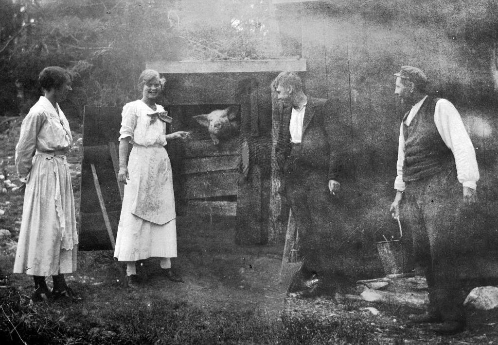 Ytterligare en bild från samma tillfälle.