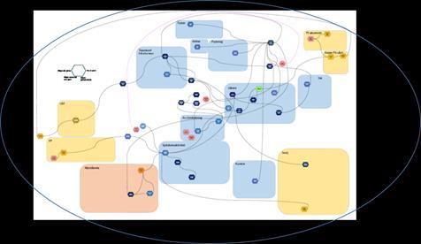 Om komplexa system och skydd mot suicid Systemanalys (FRAM) av en