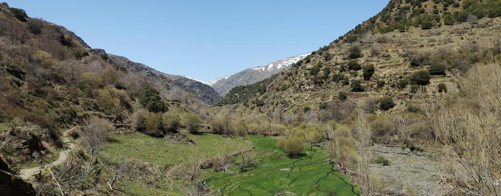 Granada & Las Alpujarras, Capileira - Bérchules, 7 nätter 1(7) Vandra i Spanien Granada & Las Alpujarras, 7 nätter Capileira Bérchules, 3 6 vandringsdagar Upplev Las Alpujarras, området som sträcker