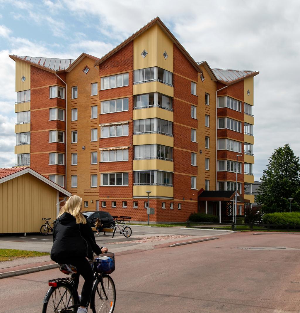 Rapport: 2018-10