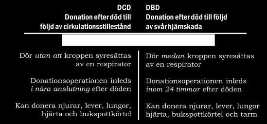 DCD står för Donation after Circulatory Death, som vi i Sverige kallar för donation då döden inträffar efter cirkulationsstillestånd.