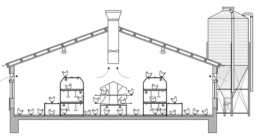 Figur 3; Visar på ett exempel på ett en-våningssystem för värphöns, det kan också kompletteras med utevistelse.