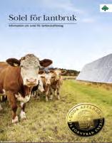 nu SÖK INFORMATION PÅ NÄTET SOLCELLSANLÄGGNING från idé till verklighet 1 m 2 solcell ger ca 160 W en solig dag Solens effekt är ca 1000 W/m