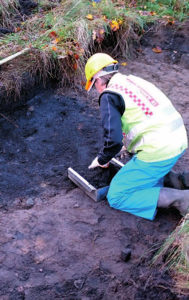 Tanum 1885, Tanums kommun, Västra Götalands län Arkeologisk