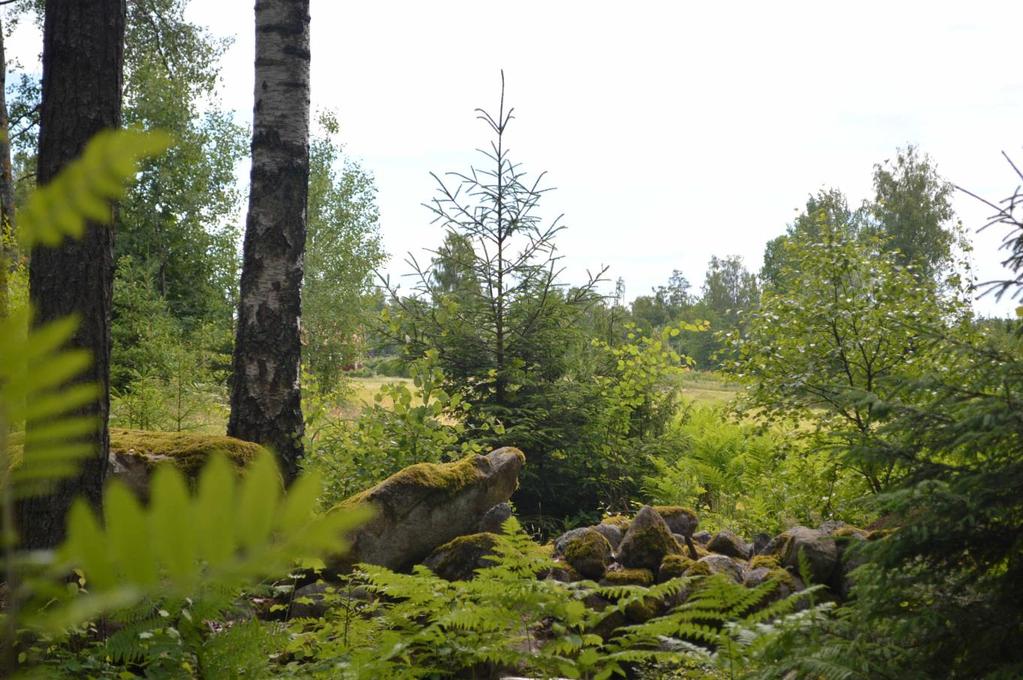 Jakt och fiske Förekommande viltarter är älg, rådjur och vildsvin m.fl. Marken är ansluten till Åsnens norra älgskötselområde. Älgjakten bedrivs som gemensamhetsjakt.
