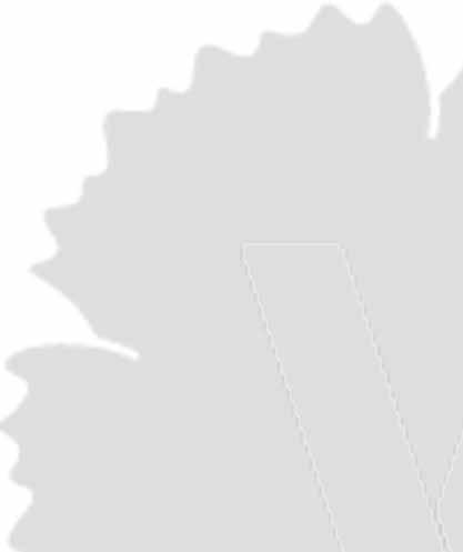 KAMPVILJAN # 4 2016 Verksamhetsplan 48. Distriktstyrelsens roll kommer att vara inriktad på att stärka partiets organisation och ge 49.
