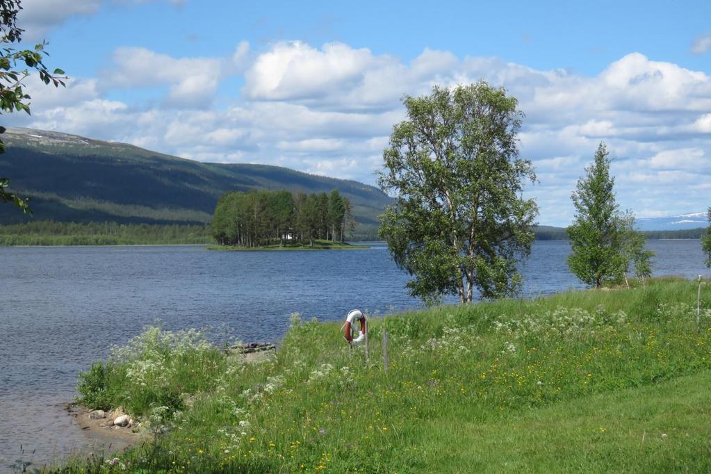 Metodik Naturvärdesinventering genomfördes den 20 juni 2016. Vid inventeringen lades fokus på skyddsvärda biotoptyper och arter.