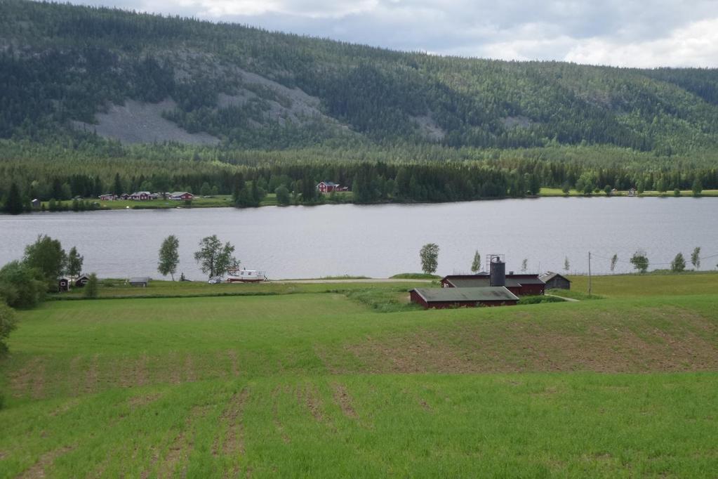 Delområde 2 Figur 6. Foto taget uppifrån delområde 3, åkrarna, och ner mot delområde 2, reningsverket och delområde 1, strandområdet.