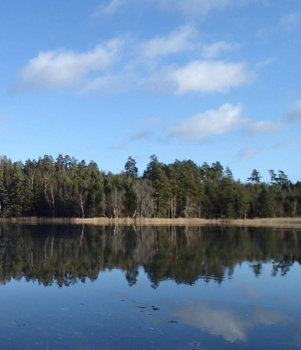 Tjusningen med långfärdsskridskor Inspirerade av att det funnits en skridskoverkstad i Enebyberg ville vi ägna en kväll åt långfärdsskridskor.