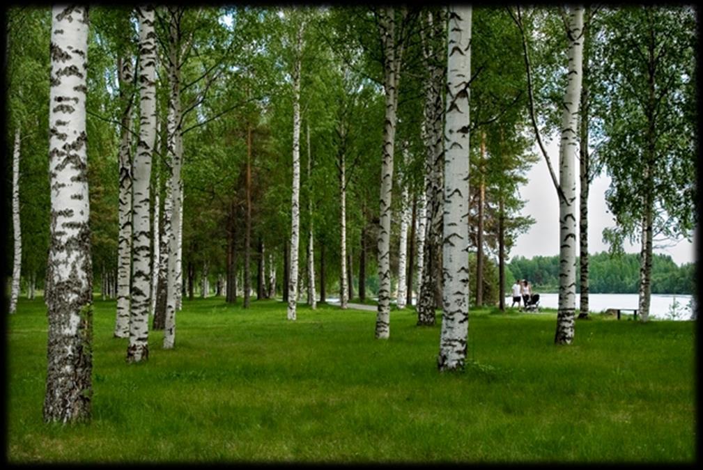 Målområde 12 Att främja psykisk hälsa och förebygga psykisk ohälsa. Psykiska besvär är en av de största orsakerna till ohälsa i befolkningen som helhet.