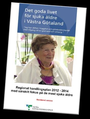 Hösten 2011 gav hälso- och sjukvårdsutskottet i uppdrag åt hälso- och sjukvårdsdirektören i Västra Götaland att ta fram en handlingsplan för att stödja utvecklingen och förbättra vården och omsorgen