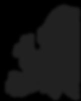 TRANSFORMATIONS About: the socioeconomic and cultural origins and effects in