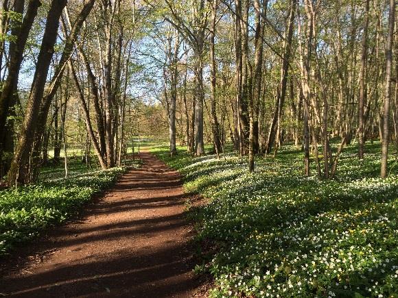 Mål 7 - Skyddade områden som resurs för friluftslivet Naturvårdsplaneringens främsta syfte är Endast tio kommuner har uttryckt ambitioner att skydda områden med direkt att skydda naturområden och i