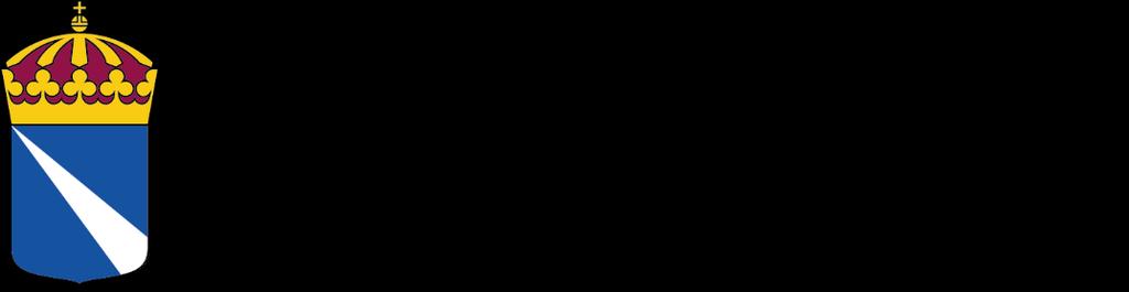 2018-10-29 2018-1146 DEN FRAMTIDA REVISIONEN Yrkets attraktionskraft - behov av att