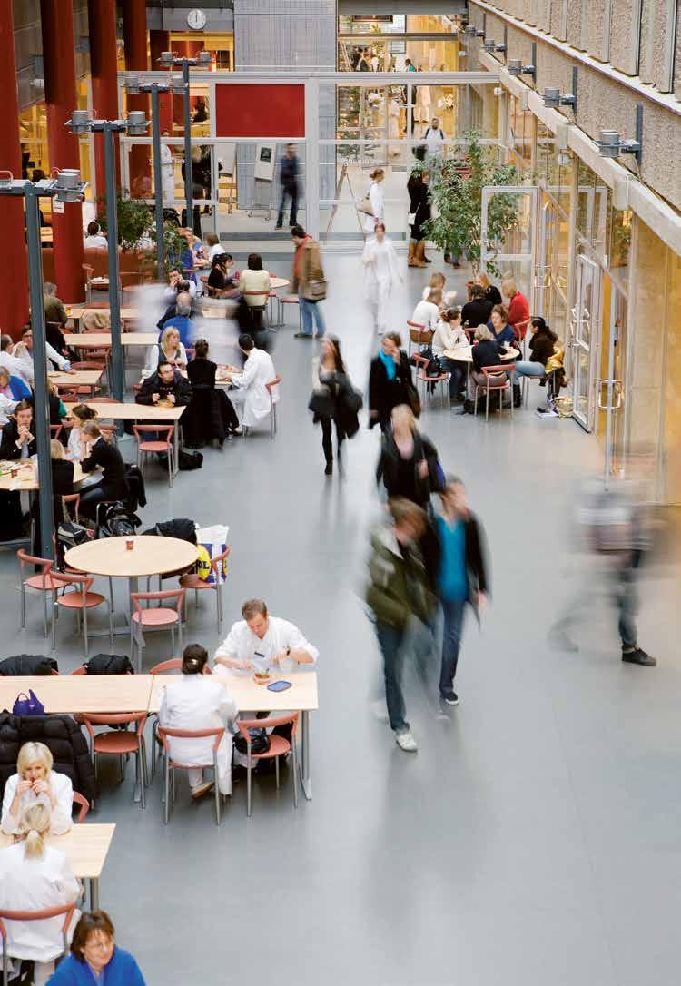 8 Domen i tingsrätten Indirekt diskriminering innebär att en person missgynnas genom tillämpning av en bestämmelse, ett kriterium eller ett förfaringssätt som framstår som neutralt men som kan komma
