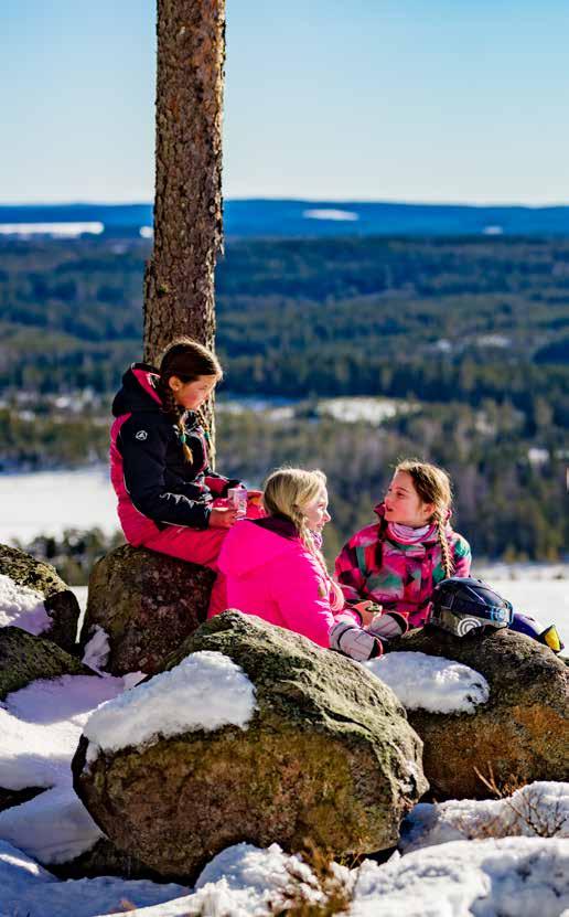 FÖRETAGSAMHET BESÖKSNÄRINGEN Ludvika kommun arbetar med besöksnäringen genom befintliga partners i Dalarna, framför allt Visit Dalarna.