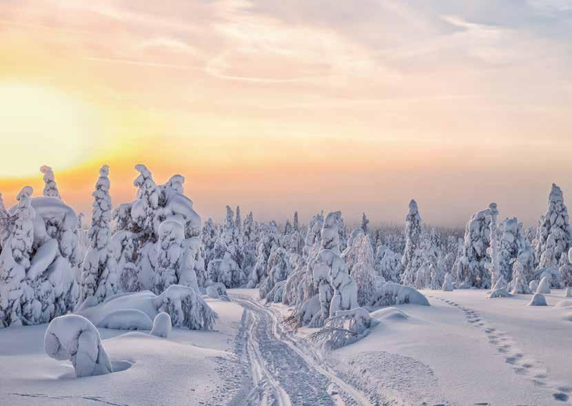 Tillverkad i Finland med respekt för vår unika natur.