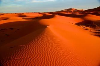 Här finns Marockos mest imponerande sanddyner, upp till 100 m höga.