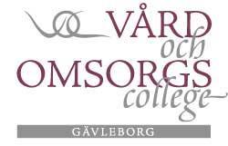 Kommunikationsplan för VO-College Gävleborg Bakgrund Vård- och omsorgscollege är en samverkan mellan arbetsgivare, utbildning, fackförbundet Kommunal och andra aktörer som verkar för