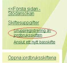 6 Gruppregistrering av jordbruksskiften Jordbruksskiftesuppgifterna kan man registrera för flera basskiften på samma gång.