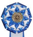 "Harwich" Yttre kronblad, tre vackra rader av stjärnor, 3 band. Topp i diameter 16 cm.