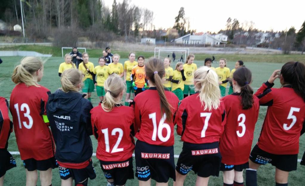 St:Erikscupen