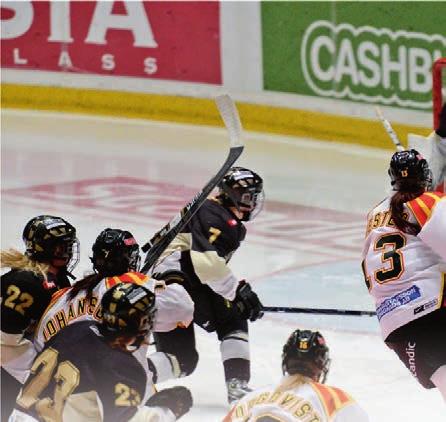 BRYNÄS IF, ETT LAG I TOPPEN AV RIKSSERIEN I med- och motgång har Brynäs IF:s damlag krigat sig genom säsongen 12/13.