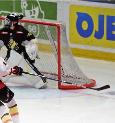Finalen var över, silvret hängde runt spelarnas halsar och redan då, efter SM-finalen mot Modo våren 2012 bestämde alla i laget sig, nästa år är det vår tur.