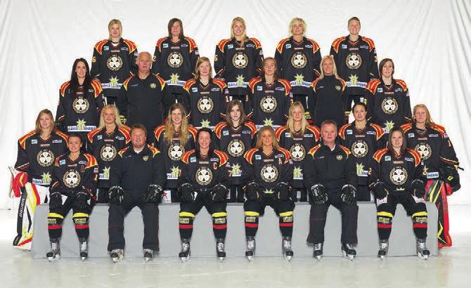 Brynäs IF A-lag Placering 2012/2013: Utslagna i kvartsfinal Bakre från vänster: William Löfqvist (Lagledare), Jesper Ollas, Dennis Persson, Simon Löf, Johan Harju, Jonas Nordqvist, Lars Jonsson, Emil