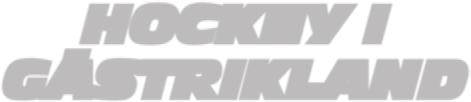 HOCKEY I GÄSTRIKLAND Som enda elitförening i distriktet kan och vill Brynäs IF ta ett större ansvar för hockeyns utveckling i Gästrikland.