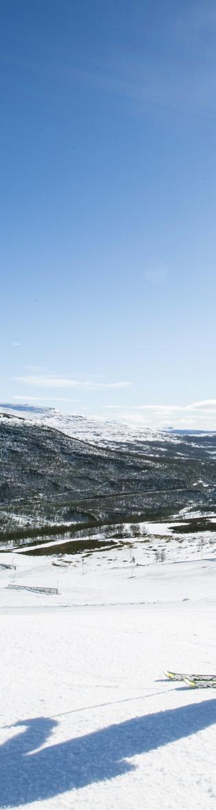 VD:N HAR ORDET Ett omvälvande år med nya rekord Besöksnäringen fortsätter att växa starkt, såväl generellt som i de segment där Grönklittsgruppen verkar.