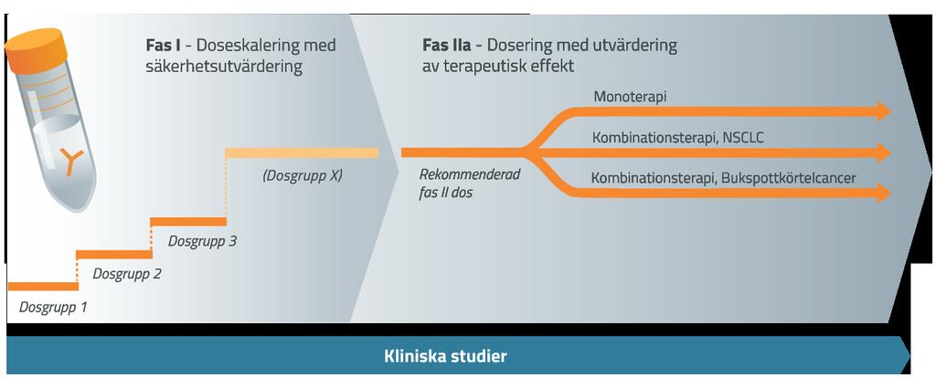 Cantargias initiala kliniska fas I/IIa-studie inkluderar både monoterapi och kombinationsterapi där CAN04 kombineras med existerande standardbehandling för icke-småcellig lungcancer respektive