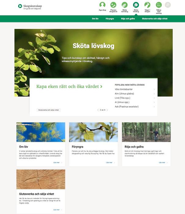 GODA RÅD ÄR INTE DYRA NY KUNSKAP OM EKENS SKÖTSEL PÅ WEBBEN Mats Hannerz, Lars Rytter och Magnus Löf Teckningar (där inte annat anges): Rose-Marie Rytter Skogskunskap.