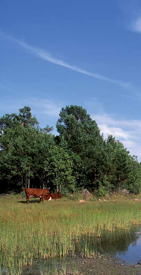 MÅNGFALD I