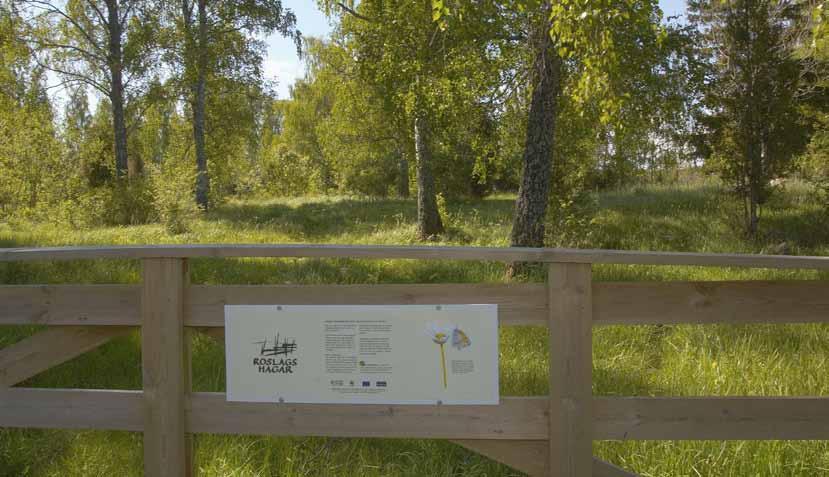 länet runt många sätt att värna biologisk mångfald Hela länet är vårt arbetsfält. Här har vi under många års tid varit aktiva med genomförande av åtgärder i kulturlandskapet.