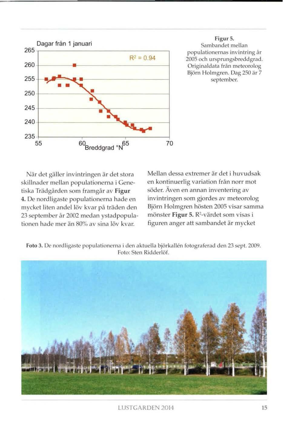 Figur 5. Dagar från 1 januari Sambandet mellan 265.---~~~~~~~~~~~~~~~ populationernas invintring.u R 2 = 0.94 2005 och ursprungsbreddgrad. Originaldata från meteorolog Björn Holmgren.