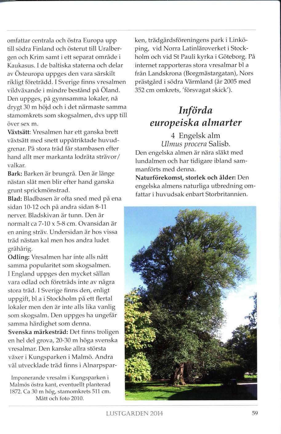 ken, trädgårdsföreningens park i Linköping, vid Norra Latinläroverket i Stockholm och vid St Pauli kyrka i Göteborg.
