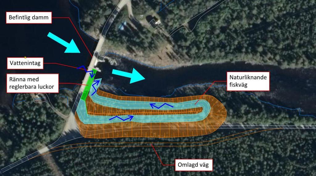 6 Planerad verksamhet 6.1 Anläggande av fiskväg 6.1.1 Preliminär utformning av fiskvägen Ljungans vattenregleringsföretag avser att anlägga en fiskväg i Storsjödammen.