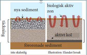 Möjliga åtgärdsförslag Sedimentåtgärderna delas in i två grupper: ex och in situ.