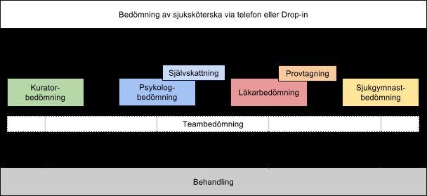Primärvårdstriage 45minuters nybesök Välkommen, sätta ramar ca 2 min Livssituation, fokus på