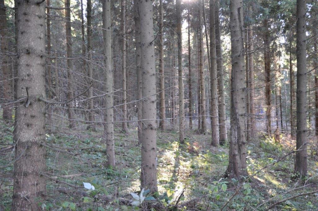 Kristianstad Brostorp 1:1 Penninginteckningar Det finns ett skriftligt pantbrev om 170 000 kr i fastigheten. Pantbreven överlåts obelånat till Köparen på Tillträdesdagen.