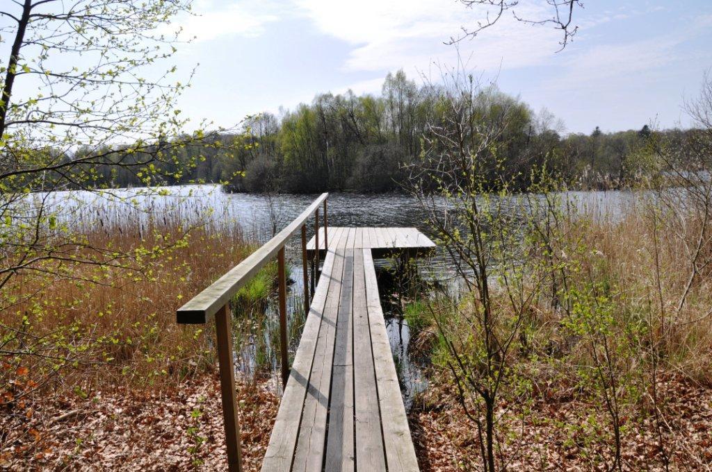 Skog 20 ha norr om Höör Byggnadsfri skogsfastighet om 20 ha med eget vatten och ö i Vaxsjön. 18 ha skog, 1,7 ha bete och 1,8 ha vatten. Skogen med ett virkeförråd om 3 900 m³sk, mestadels äldre bok.