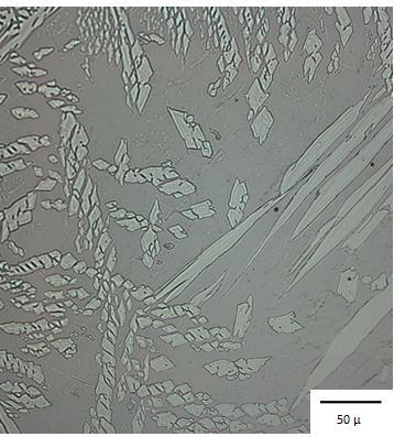 50 µm Figur 66.   50 µm Figur 67.