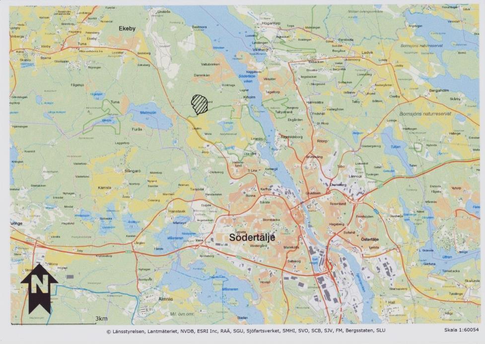 SAMMANFATTNING Norr om Södertälje Naturskola ligger ett skogsområde med hällmarker och mellanliggande moränmarker med barrskog. Lövträd finns mest i södra delen.